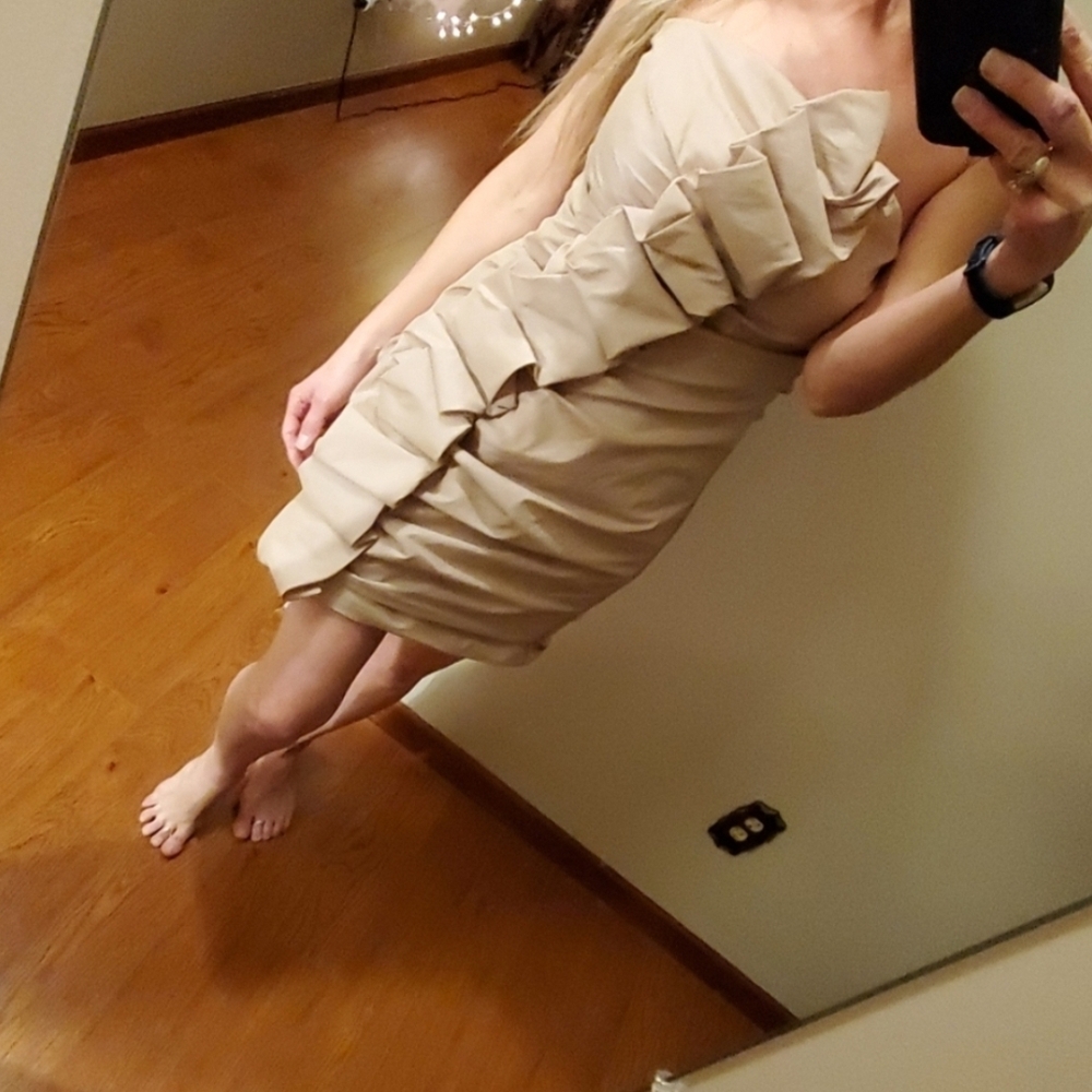 NWT Windsor Ruffle Dress